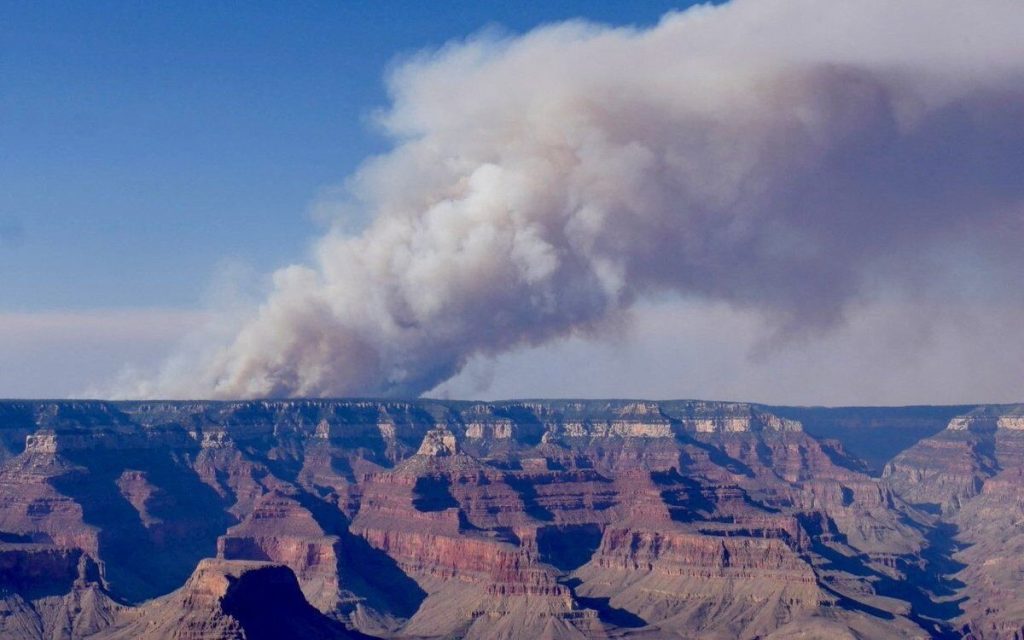 Grand Canyon’s North Rim ravaged by wildfires