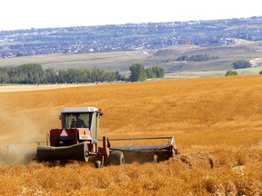 Calgary Sun Letters to the Editor, July 24, 2025: ‘Divided we stand’