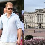 Buckingham Palace pushing for formal ‘contract’ with Prince Harry, Meghan